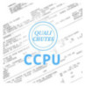 CCPU 3.1 (Certificat de Contrôle du Produit réalisé par l'Usine) de la Chute n°55178